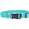 Coastal Pet New Earth Soy Adjustable Dog Collar Mint