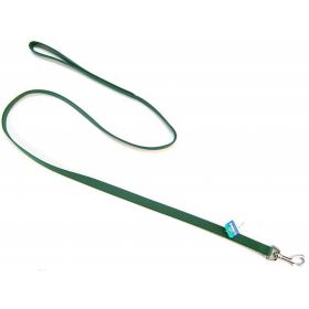 Coastal Pet Nylon Lead (Option: Hunter Green  4' Long x 5/8" Wide)