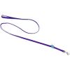 Coastal Pet Nylon Lead