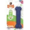 Nylabone Dental Chew Bone